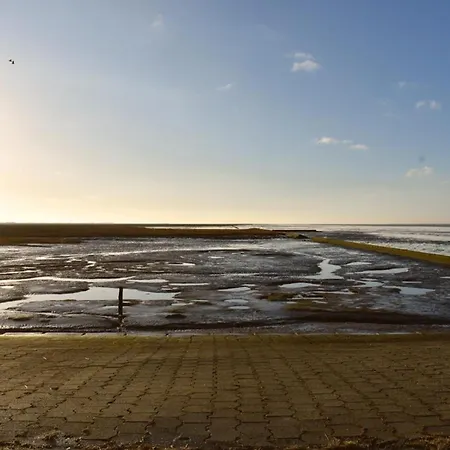 Windhund Διαμέρισμα *