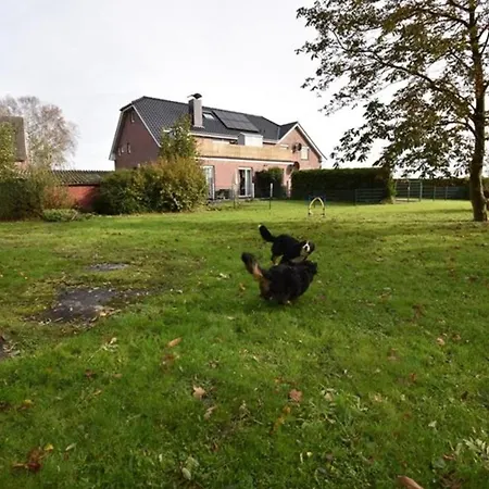 Windhund دورنوم