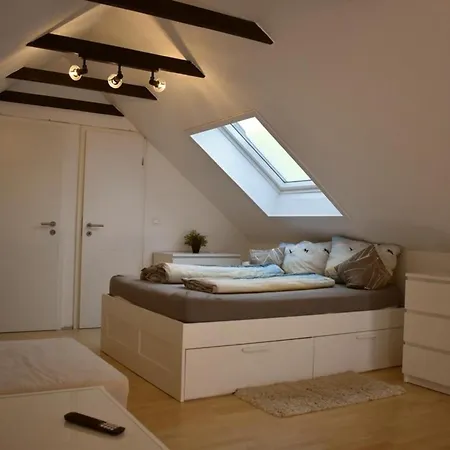 Windhund Appartement