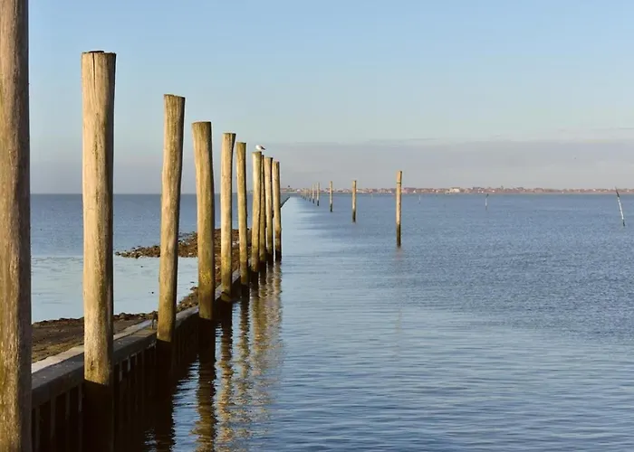 Appartement Windhund