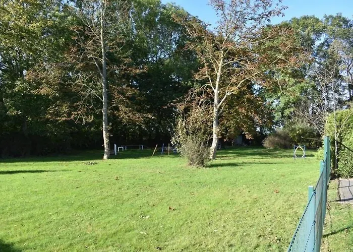 Appartement Windhund *