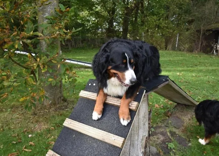 Appartement Windhund Dornum