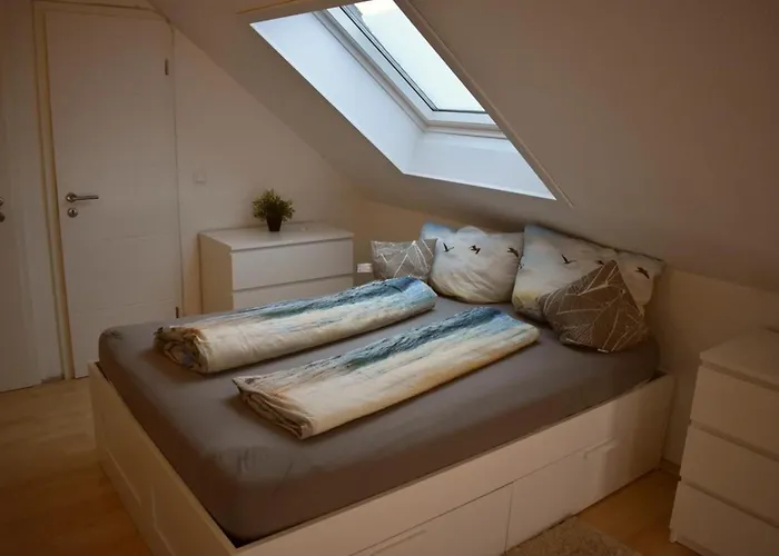 Windhund Appartement